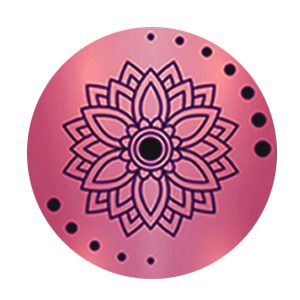 S.C.M.H.® Practitioners 1 S.C.M.H. Practitioner